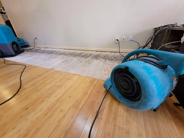 Professional Burst Pipe Water Damage technician working in Cayce, SC